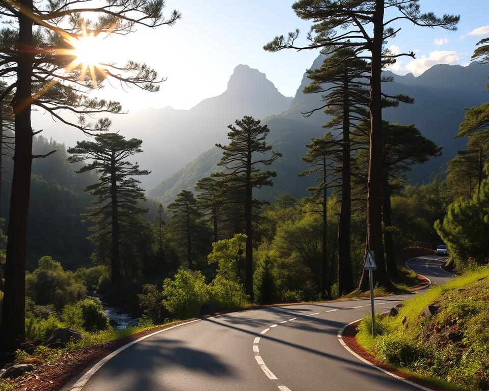 Anreise nach Ribeiro Frio