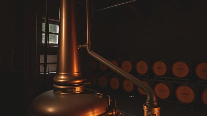 Rumbrennerei Madeira – Traditionelle Destillation