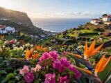 Madeira im Winter: Ihr perfekter Winterurlaub